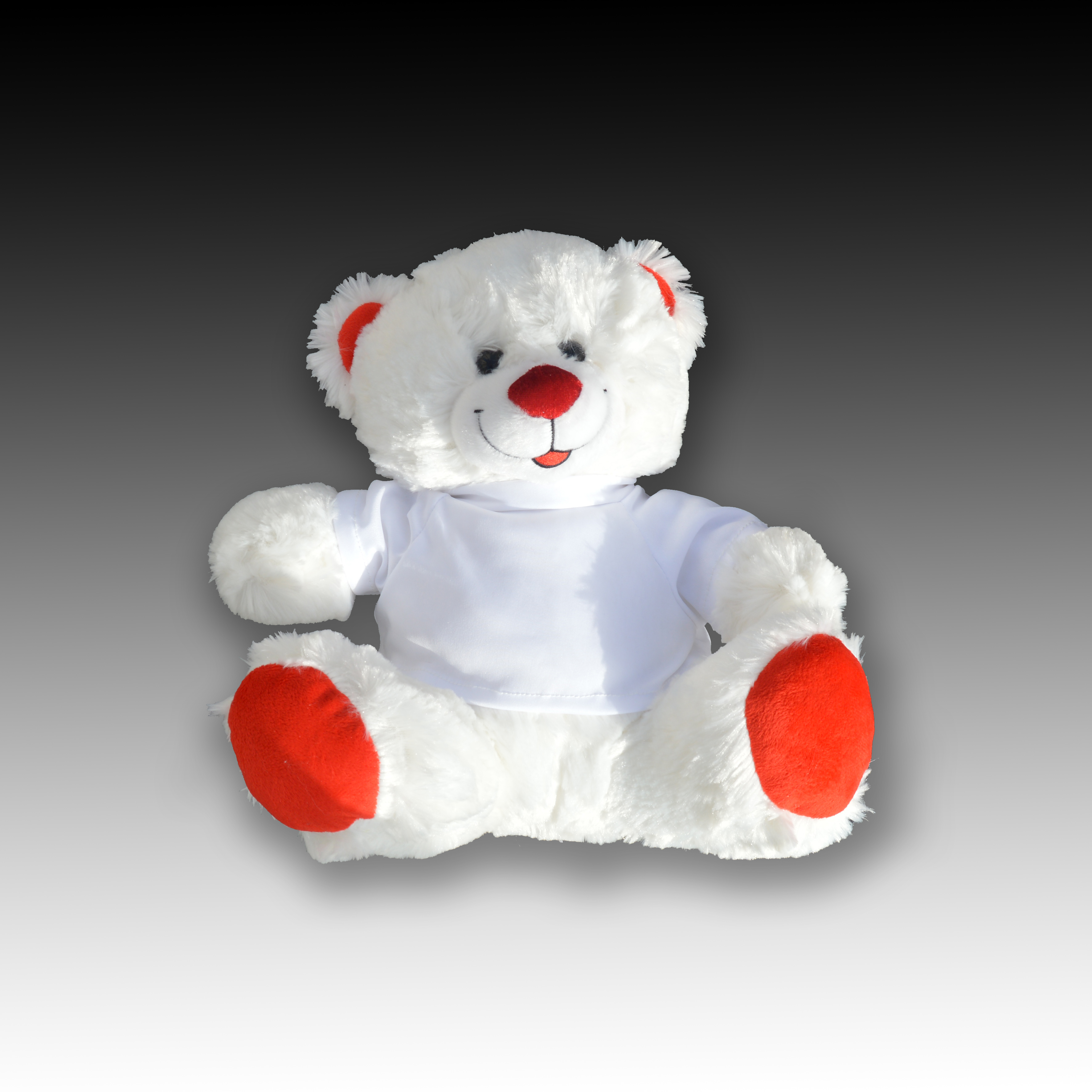 הדפסה על דובי