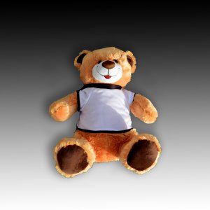 הדפסה על דובי